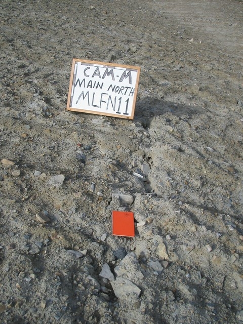 Thumb for 17 aug 05 mlfn11 closeup.jpg (3455 KB)